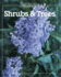 Shrubs & Trees (Best of Fine Gardening)