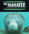 Manatee, the (Endangered in America)