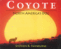 Coyote