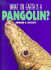What on Earth is a...-Pangolin