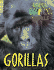 Wild Wild World-Gorillas