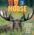 1, 2, 3 Moose: a Counting Book