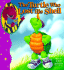 The Turtle Who Lost His Shell (Bedtime With Barney)
