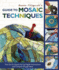 Bonnie Fitzgerald's Guide to Mosaic Techniques Format: Paperback