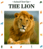 The Lion: King of the Beasts (Animal Close-Ups)