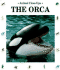 The Orca: Admiral of the Sea