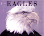 Just Eagles (Just (Willow Creek))