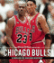 The Chicago Tribune Book of the Chicago Bulls: a Decade-By-Decade History