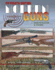 Modern Guns: Identification & Values (Modern Guns)