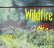 Wildfire (Nature in Action)