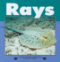 Rays (Nature Watch)