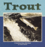 Trout (Nature Watch)
