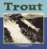 Trout