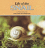 Life of the Snail (Nature Watch)