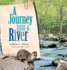 A Journey Into a River (Biomes of North America)