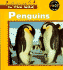 Penguins (in the Wild)