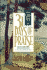 31 Days of Praise: Enjoying God Anew