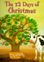 The 12 Days of Christmas (My Big Beanstalk Books Series)