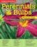 Home Gardeners Perennials & Bulbs: the Complete Guide to Growing 58 Flowers in Your Backyard (Creative Homeowner) Step-By-Step Photos & Information to Design & Maintain Your Garden (Specialist Guide)