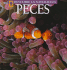 Peces (Descubre La Naturaleza) (English and Spanish Edition)