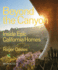 Beyond the Canyon