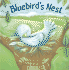 Bluebirds Nest