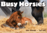 Busy Horsies (a Busy Book)