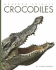 Crocodiles (Amazing Animals (Creative Education Hardcover)) Hardcover