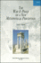 The War and Peace of a New Metaphysical Perception, Volume II (Global Academic Publishing)