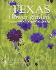 Texas Flower Garden, the