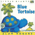 Blue Tortoise: Little Giants