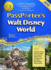 Passporter's Walt Disney World 2015: the Unique Travel Guide, Planner, Organizer, Journal, and Keepsake!