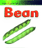 Bean (Life Cycle of a)