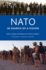 Nato in Search of a Vision