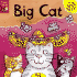 Big Cat