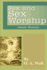 Sex and Sex Worship