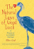 The Natural Laws of Good Luck: a Memoir of an Unlikely Marriage