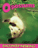 Opossums