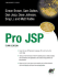 Pro Jsp, Third Edition