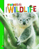 Australian Wildlife (Nature Kids)