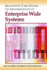 Qualitative Case Studies on Implementation of Enterprise Wide Systems