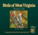 Birds of West Virginia Audio (Bird Identification Guides)