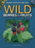 Wild Berries & Fruits Field Guide of Indiana, Kentucky and Ohio (Wild Berries & Fruits Identification Guides)