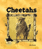 Cheetahs