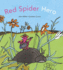 The Spectacular Adventures of a Little Spider