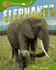 Elephants