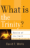 What is the Trinity? (Basics of the Faith)