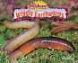 Wiggly Earthworms