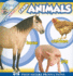 Sing...Play...Learn! Farm Animals [With Cd (Audio)]