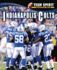 Indianapolis Colts, the (Team Spirit)